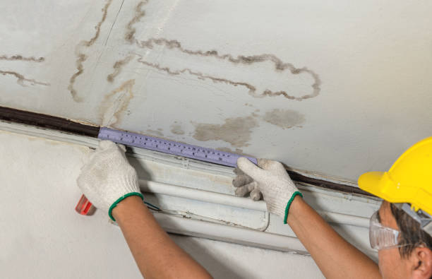 Reliable Mold Remediation contractor in Houghton Lake, MI by Water Damage Irwin